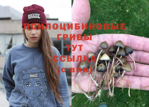 тгк Белокуриха
