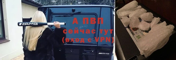 ALPHA PVP Беломорск