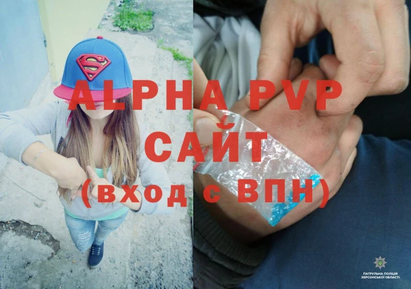 прущие грибы Пересвет