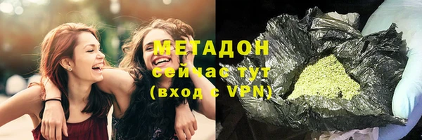 прущие грибы Пересвет