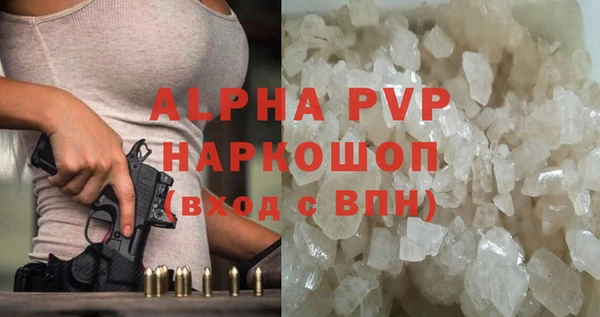 прущие грибы Пересвет