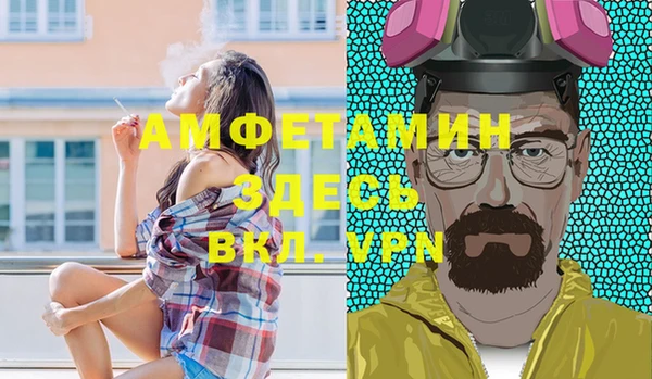 амф Пестово