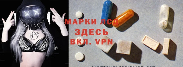 прущие грибы Пересвет