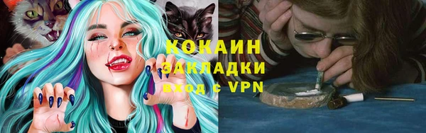 тгк Белокуриха